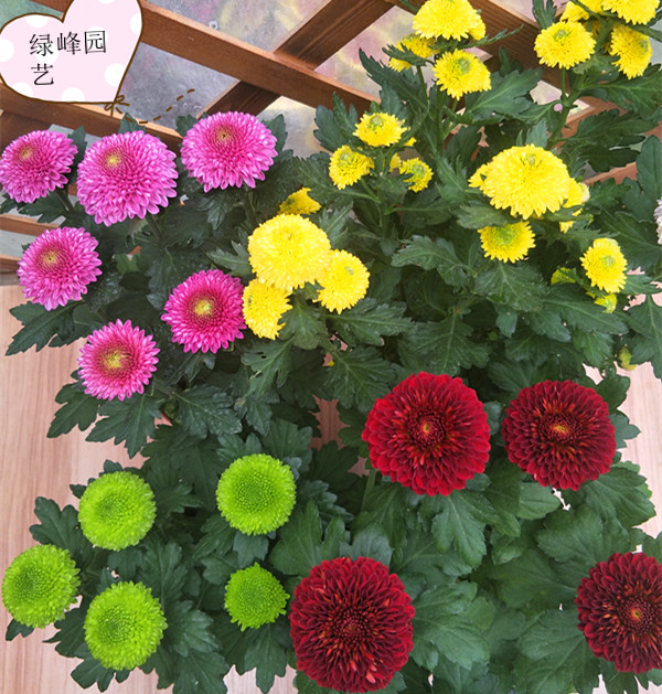 米乐M6官方入口