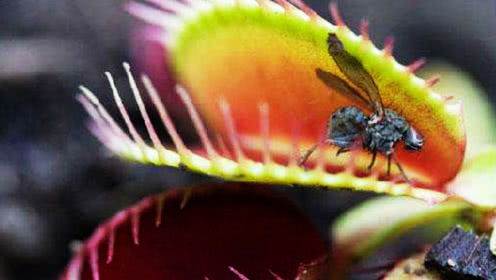 米乐M6官方入口